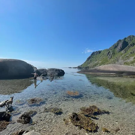 Lofoten Seaview Apartment *
