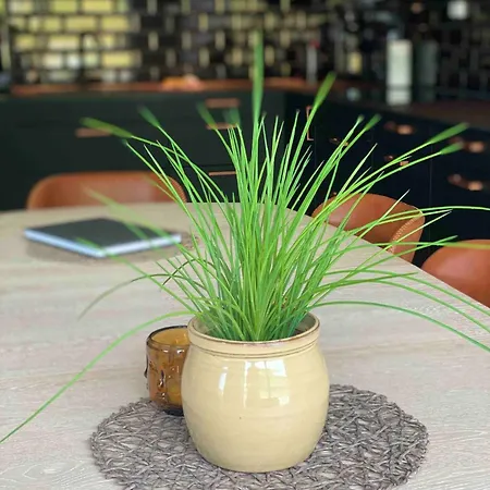 Lofoten Seaview Leilighet *