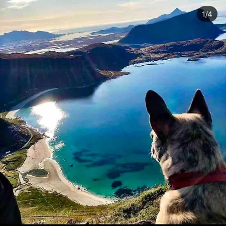 Leilighet Lofoten Seaview Ballstad