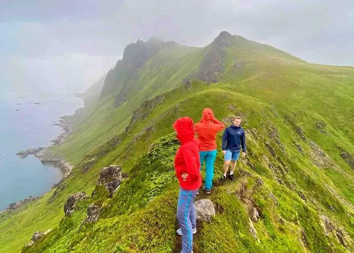 Lofoten Seaview * Ballstad