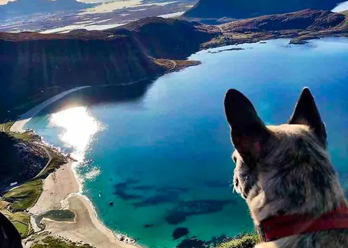 Appartamento Lofoten Seaview Ballstad