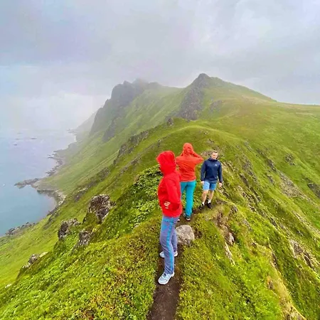 Lofoten Seaview * بولستاد