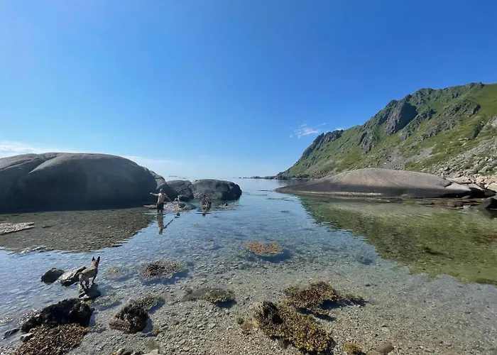 Lofoten Seaview Apartment *